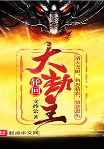 轮回大劫主